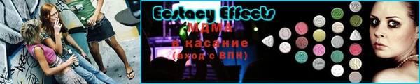 молекула духа Арсеньев