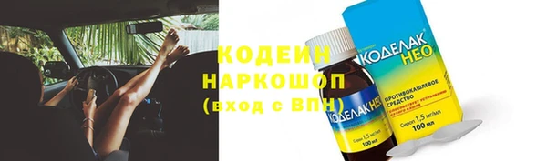 молекула духа Арсеньев