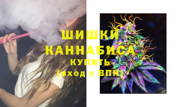 молекула духа Арсеньев