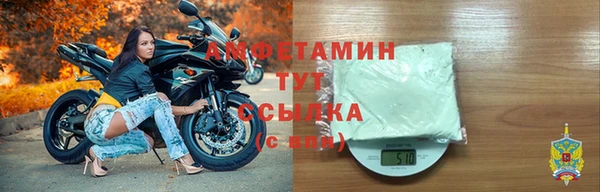 молекула духа Арсеньев